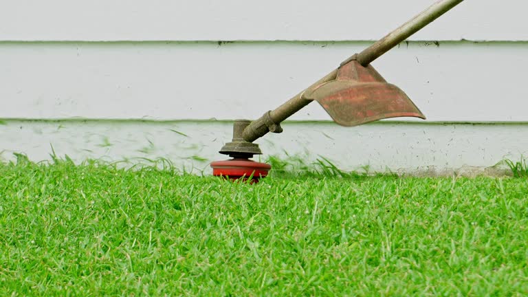 Best Lawn Irrigation Installation and Maintenance  in Stallion Springs, CA